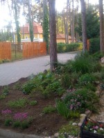 /album/kepek-az-ingatlanrol16/a7-jpg7/