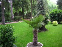 /album/kepek-az-ingatlanrol30/a10-jpg3/